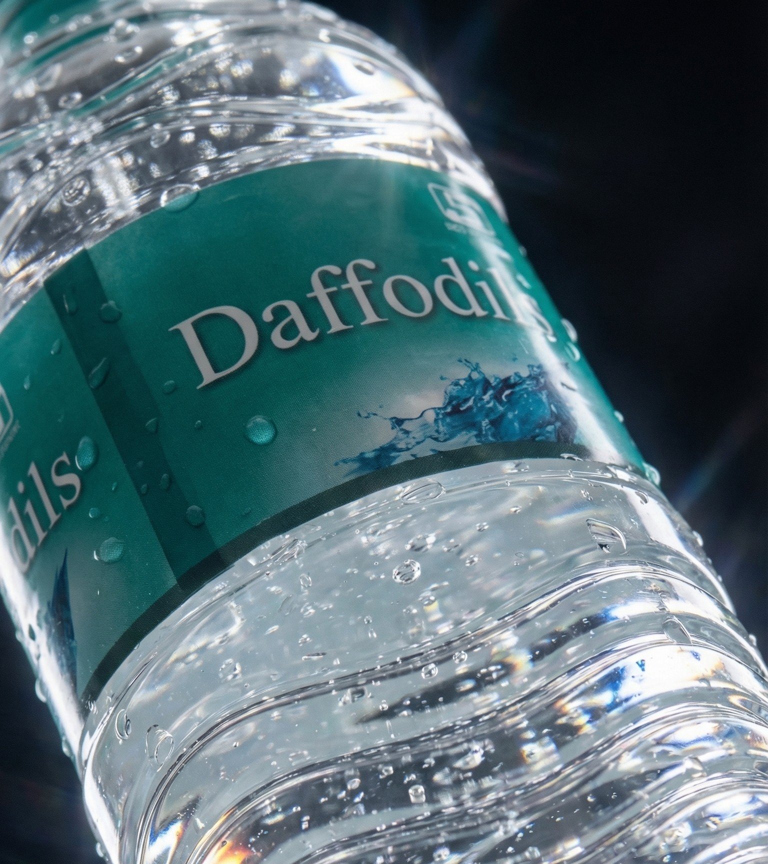 Daffodils